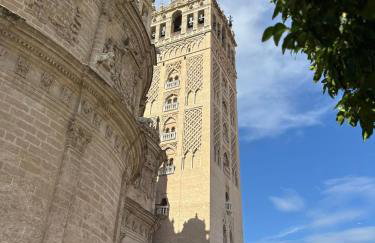 Cathedral and Mateos Gagos - Foto 47