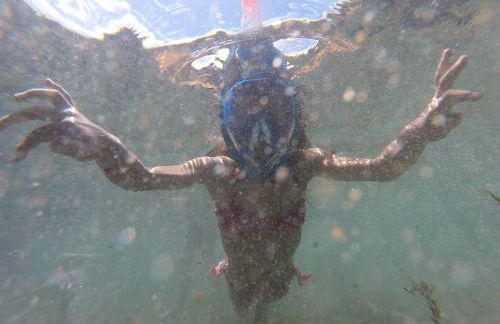 Casa da Adega - Photo 36