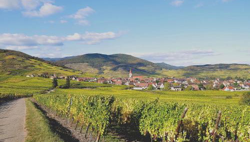 Gite du Vignoble - Foto 4