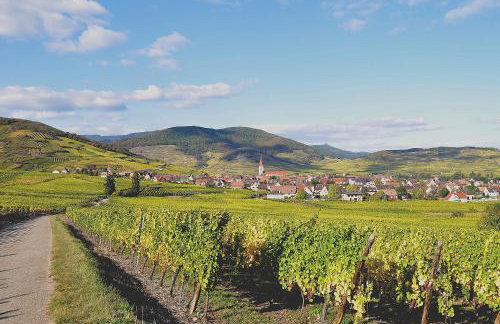 Gite du Vignoble - Foto 4