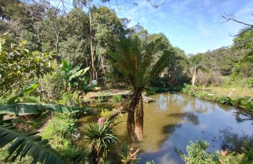 Pousada Recanto do Beija Flor - Foto 15