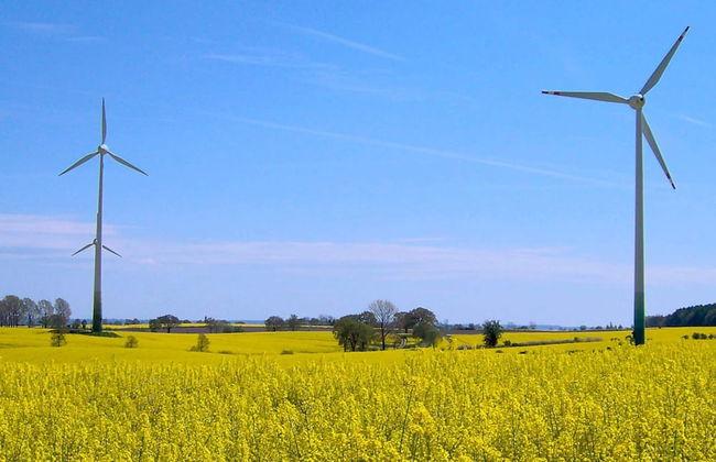 Holiday Home in Grömmitz - Foto 30