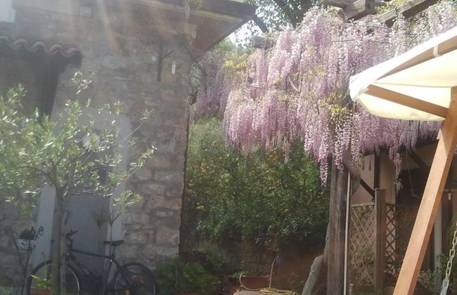 La Gabbianella e il Gatto - Foto 20