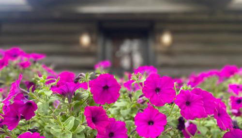 Historic Log Cabin #14 at Horse Creek Resort - Foto 4