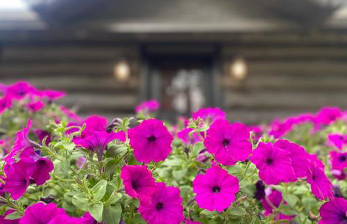 Historic Log Cabin #14 at Horse Creek Resort - Foto 4