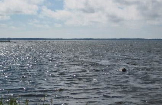 Soukonranta - Foto 32