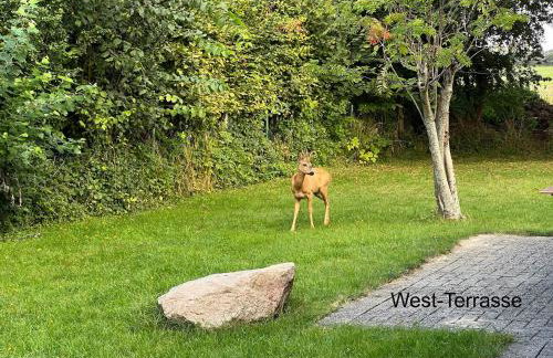 Ferienhaus Westermarkelsdorf - Photo 24
