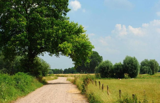 Modern Chalet With Nice Sliding Doors Near Lochem - Foto 37