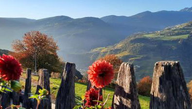 Moarhof Gufidaun - Photo 4