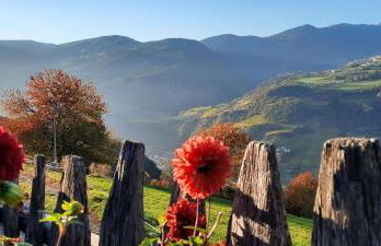 Moarhof Gufidaun - Photo 4