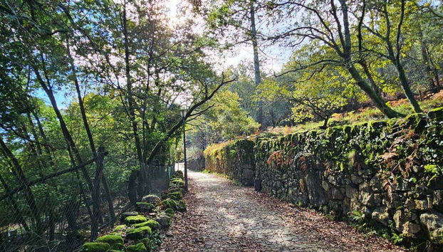 O caminho cercado pela natureza