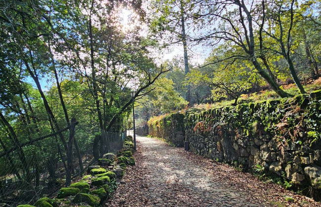 Porto Mountains Jeep Tour - Foto 3