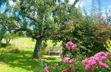 Lieblingsort Susanna - Foto 7