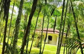 Chácara Bela Vista - Photo 13