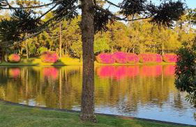 Fantástico Flat no Laje de Pedra Mountain Village - Foto 61