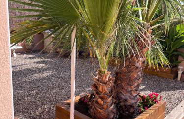 Mas Japimon - Foto 29