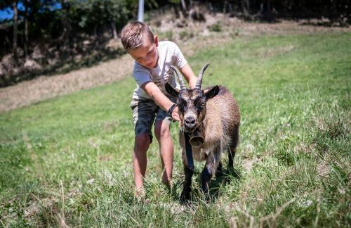 Hinterscholerhof - Photo 33