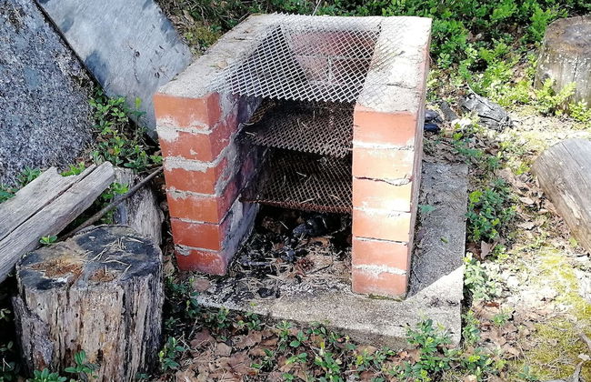 Salkolahti Minttu - Foto 23