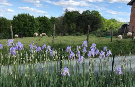 La Banne Nord - Foto 18