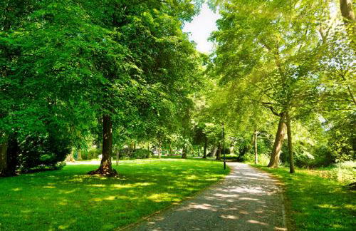Ferienhaus Mein Stall - Foto 19
