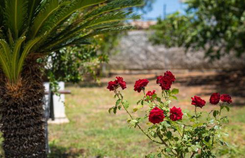 Garden House with Pool, 10min to center - Foto 33