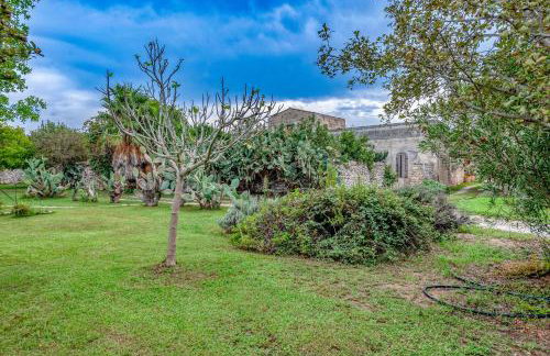 Masseria Copertini - Foto 47