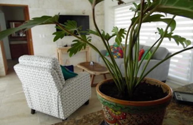 Casa Glorioso by Skyrun - Photo 14