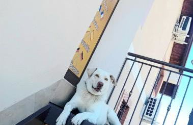 Casa Happy - La mansarda del sorriso con parcheggio privato a Valcorrente - Foto 28