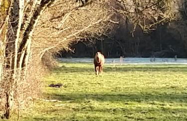 Le Grenier du Moulin - Foto 24