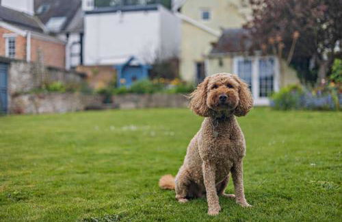 3 Bed in Ruthin oc-a29313 - Photo 15