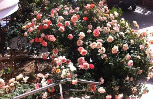 Ilias Villa IN Chania - Foto 7