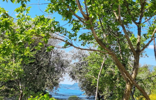 Elle Ecoholiday - Foto 4