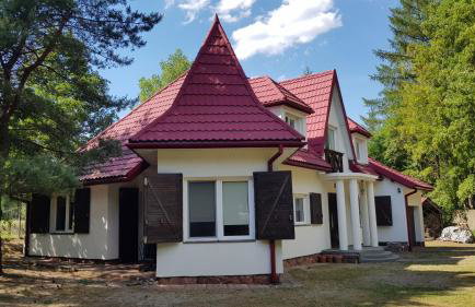 Pluski 10 osobowy Dom PROJEKT PLUSKI nad Jeziorem Pluszne - Foto 4