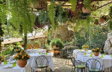 Agriturismo Fattoria Terranova - Foto 40