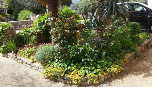 Apartments Barbara - Foto 5, Garden