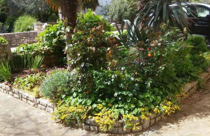 Apartments Barbara - Foto 5