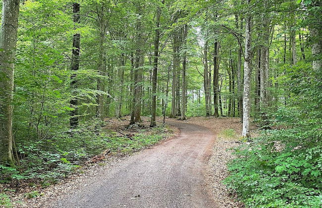 6 Person Holiday Home in Dio-by Traum - Foto 17