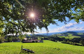 Ferienwohnung Bayerwaldblick - Foto 50