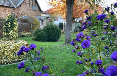 Haus Höppches - Foto 15