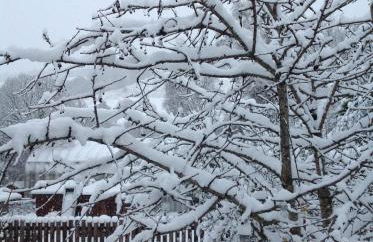 The Wee Thistle Loch Ness - Foto 21