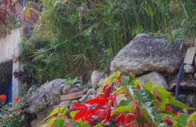 Casa Vacanze Fontanelle - Photo 36