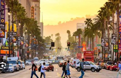 2Bed Apt View of Hollywood Sign & Rooftop Pool - Foto 8