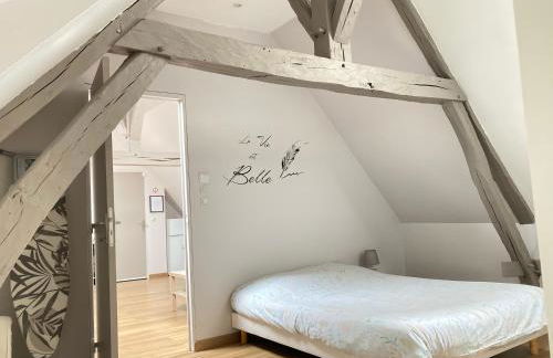 A&J COSY - Neuvy sur Loire - Guédelon - Foto 9