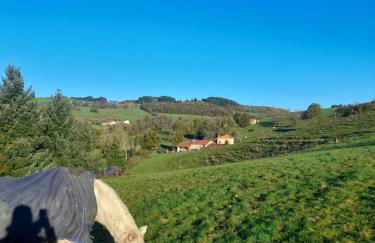 Gîte Mascotte - Foto 25