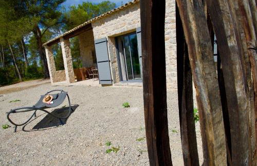 Les Lodges du Pic - Foto 16