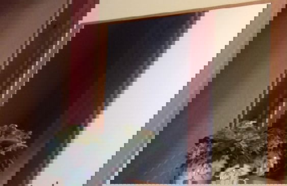 Apartments Gavacic - Photo 6