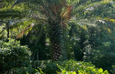 Superbe Rez-de-Villa 6p calme & plage à pied - Foto 23