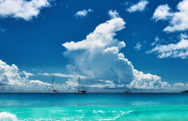 South Point Villas - Photo 49