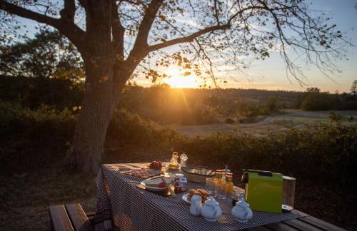 El Miracle - Photo 1