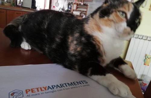 La Casa di Pamy - Foto 56